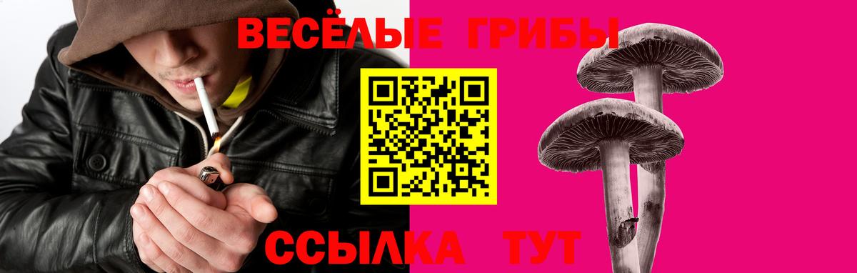 Михайловск  Псилоцибиновые грибы Magic Shrooms  Галлюциногенные грибы Psilocybe  Вход с VPN 